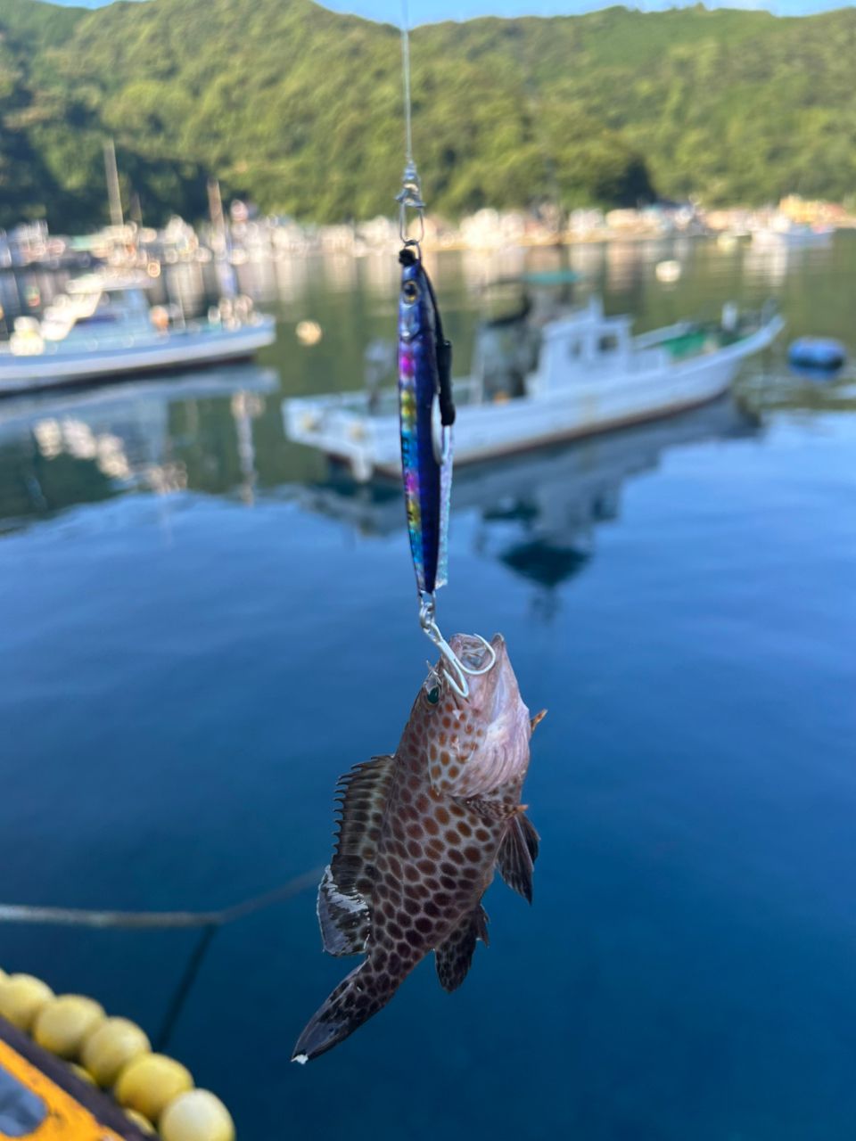 DAIWA 21シーバスハンター X 86ML・Rの最安値・インプレ・釣果