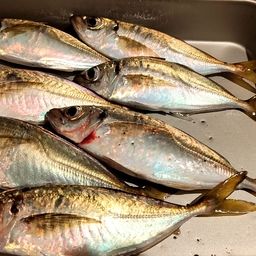 アジ