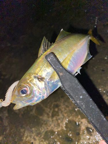 奥浜名湖
