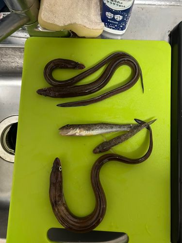 牛窓港
