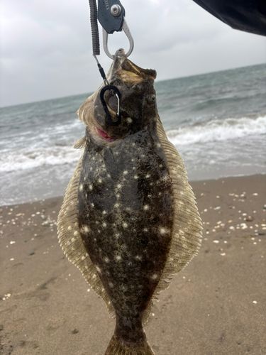 富津海岸