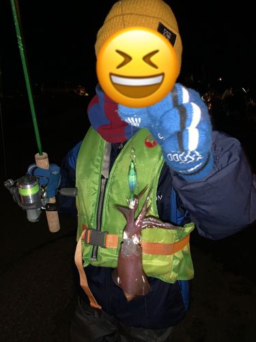 マメイカの釣果