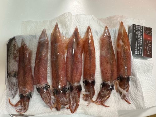 気仙沼湾
