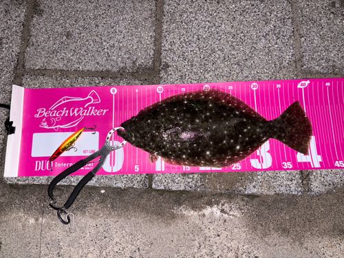 表浜名湖