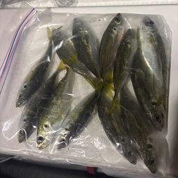 アジ