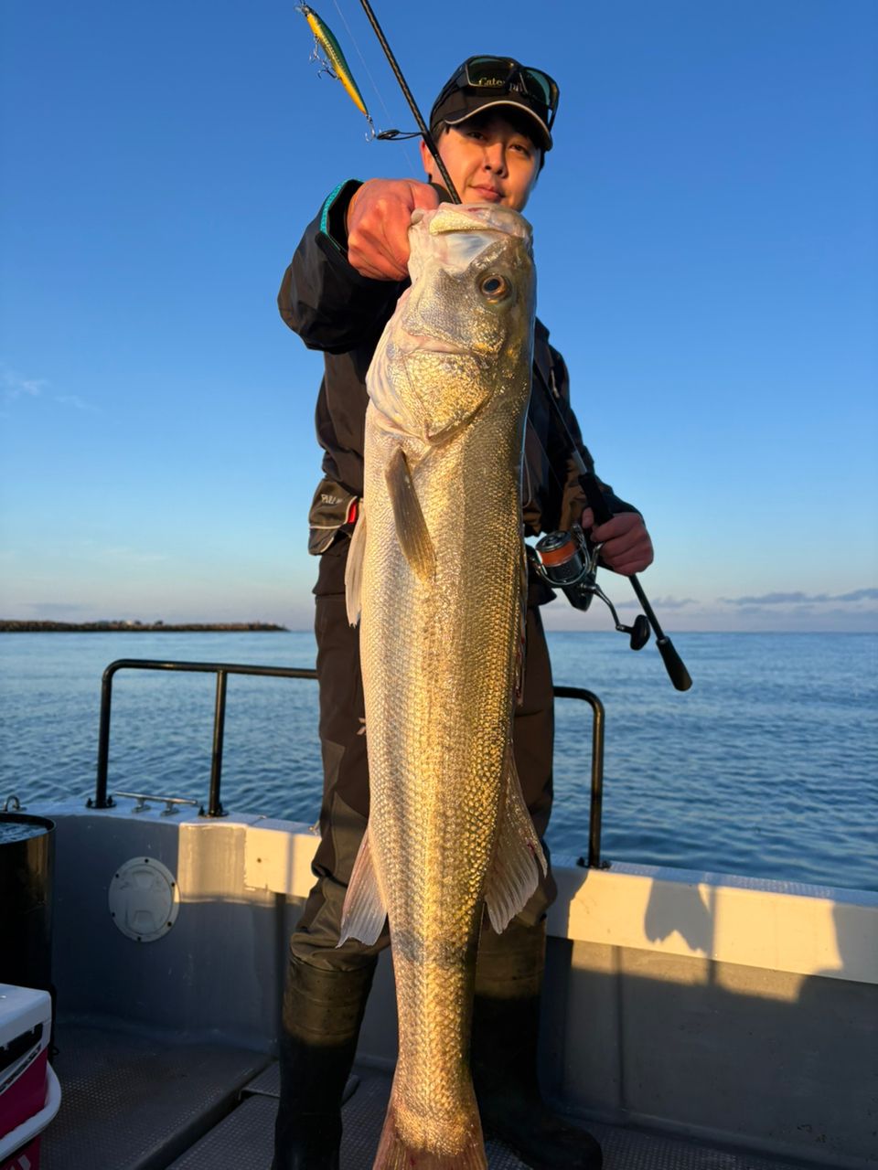 Ashuraさんの釣果 1枚目の画像