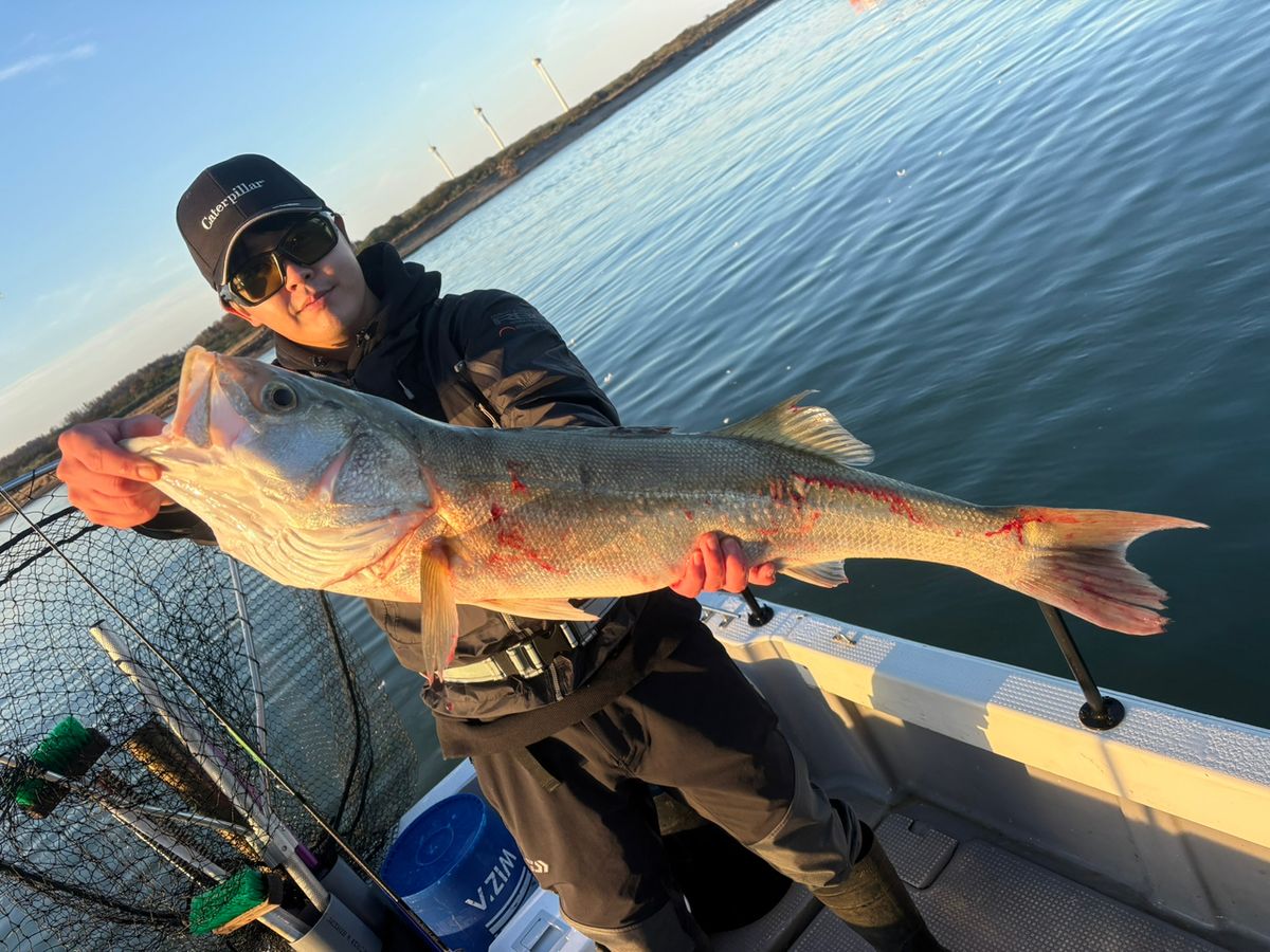 Ashuraさんの釣果 2枚目の画像