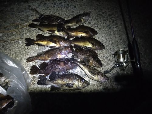 野辺地湾