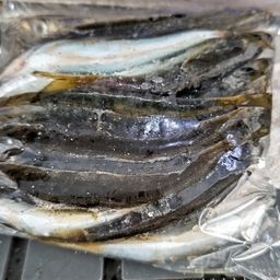 アジ