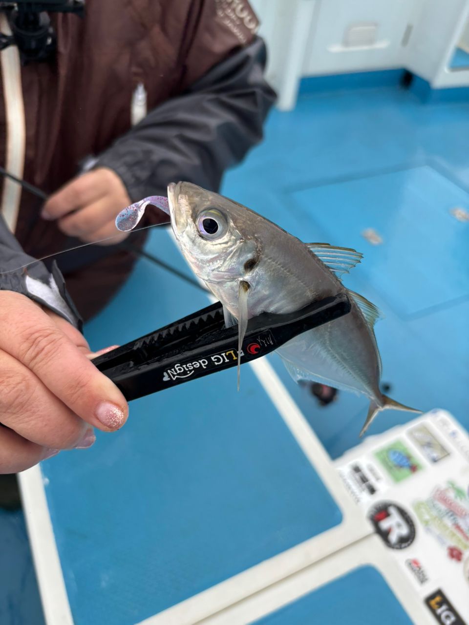 まなひなさんの釣果 2枚目の画像