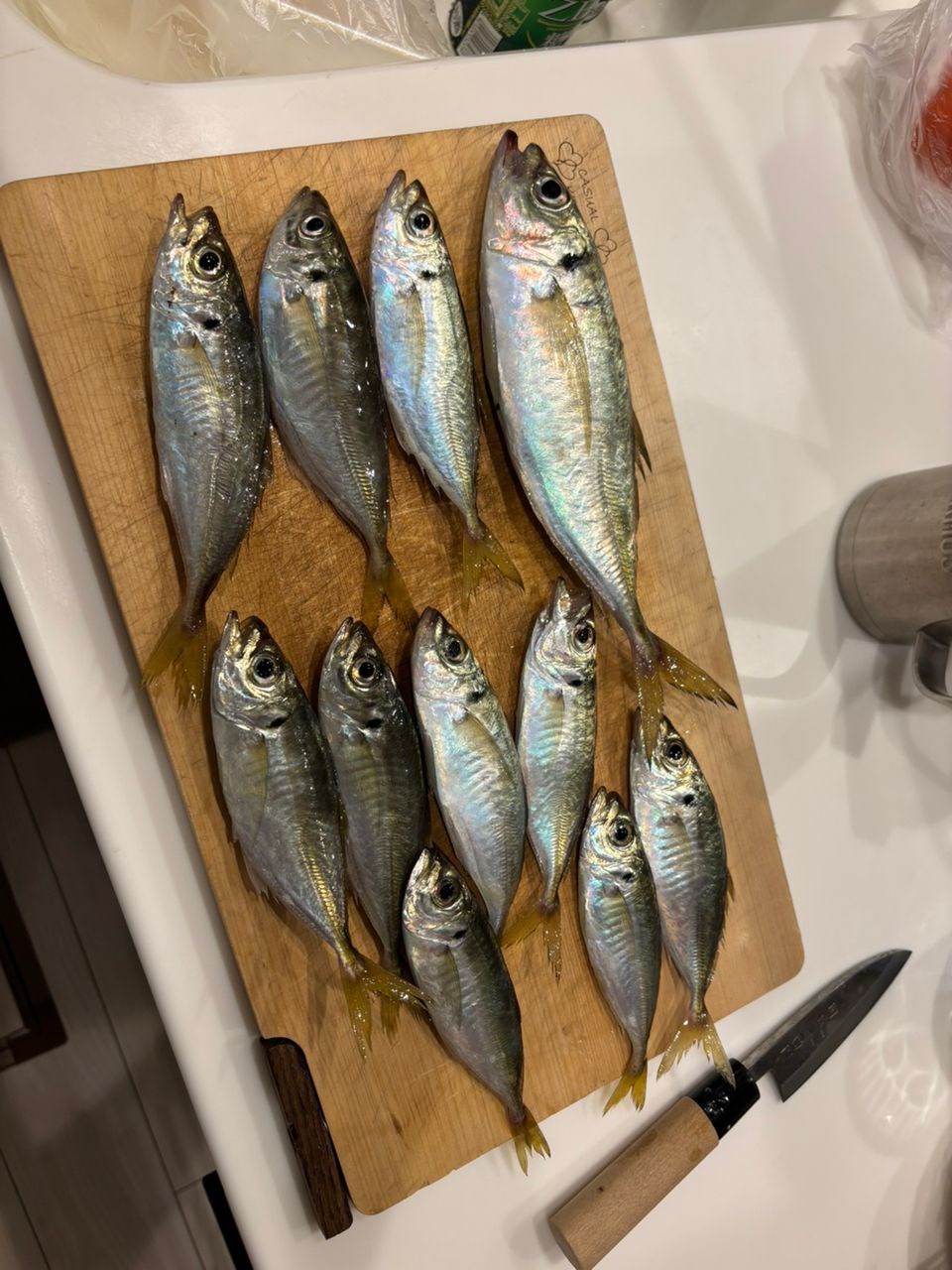 まなひなさんの釣果 3枚目の画像