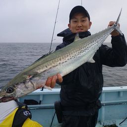 サワラ