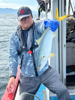 ハマチの釣果