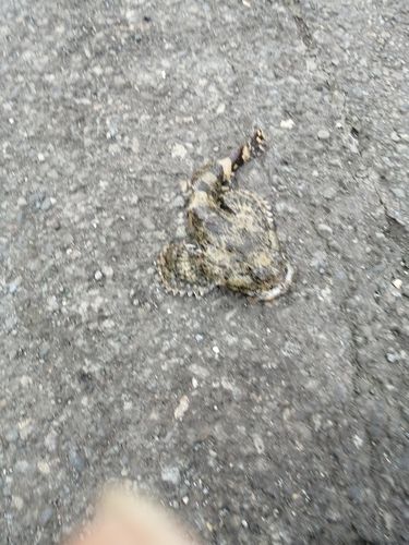 苫小牧港防波堤