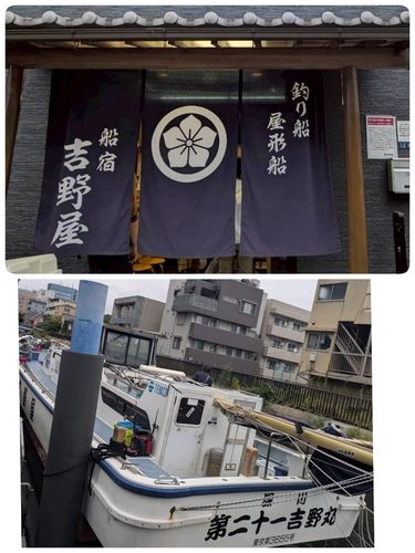 東京湾湾奥