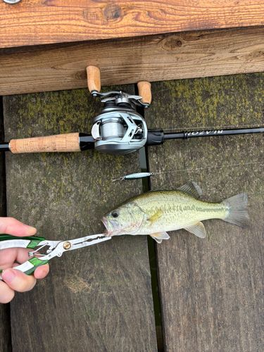 釣果