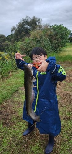 熊野灘