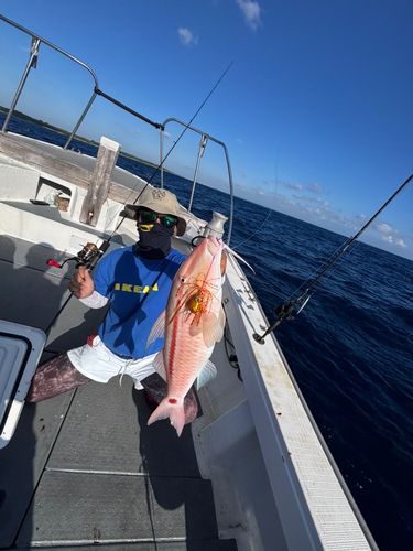 オジサンの釣果