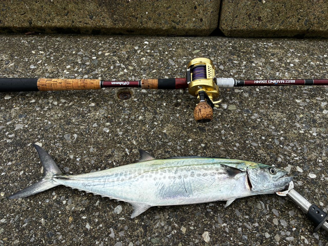 Fishman ブリスト MARINO10.6MHの最安値・インプレ・釣果 | 本音