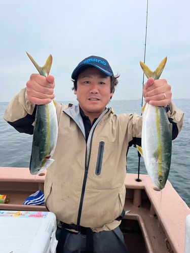ハマチの釣果