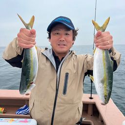 ハマチ