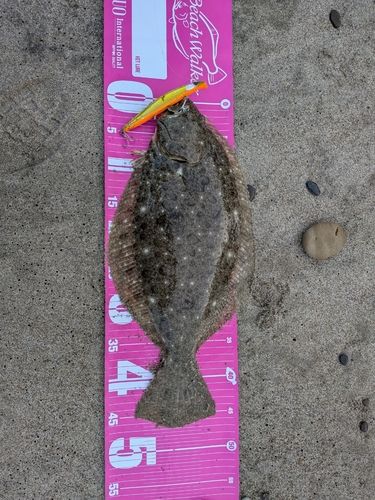 津軽半島