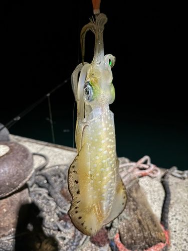 阿翁浦漁港