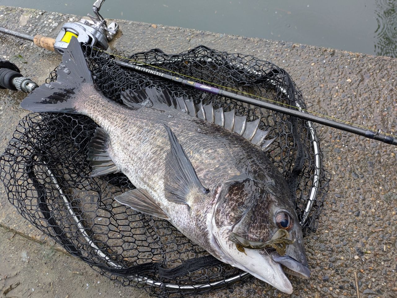 AbuGarcia エラディケーター ベイトフィネス EBTC-704LT-MBの最安値