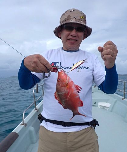 ヒメフエダイの釣果