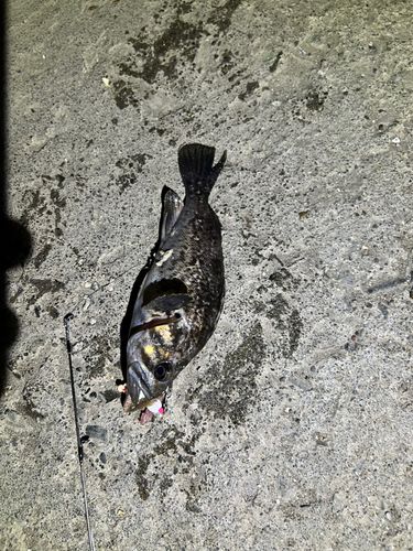 石狩湾新港
