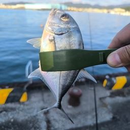 メッキ
