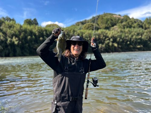 スモールマウスバスの釣果