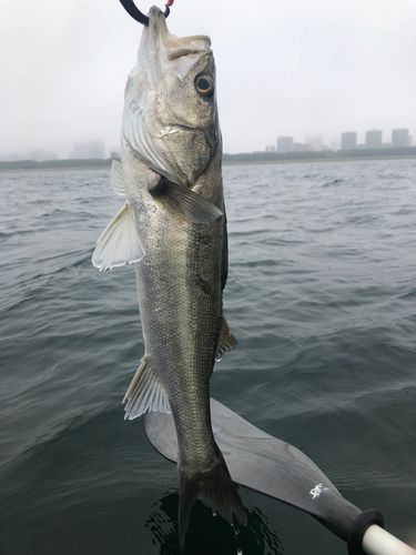 幕張海浜公園