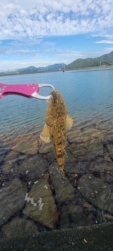 大海湾