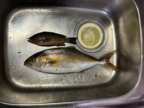 錦江湾