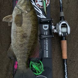 スモールマウスバス