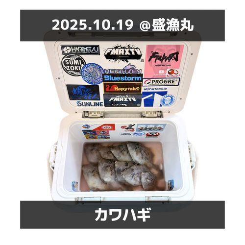 カワハギの釣果