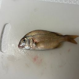 チャリコ