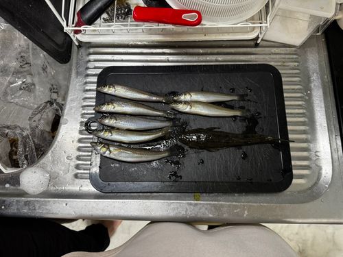 片瀬漁港