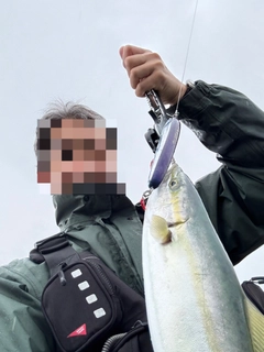イナダの釣果