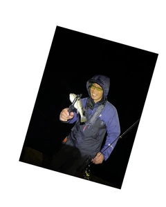 フグの釣果