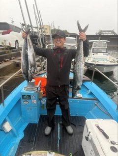 サワラの釣果