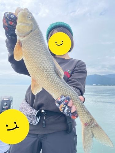 琵琶湖北湖