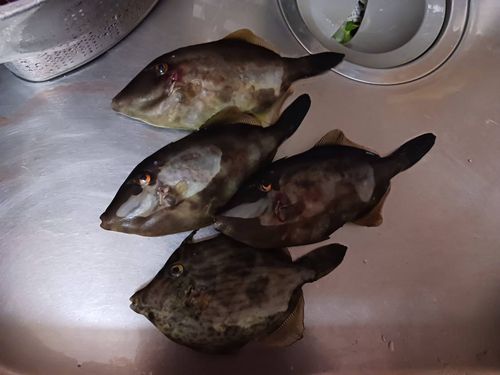 小名浜港アクアマリンふくしま周辺
