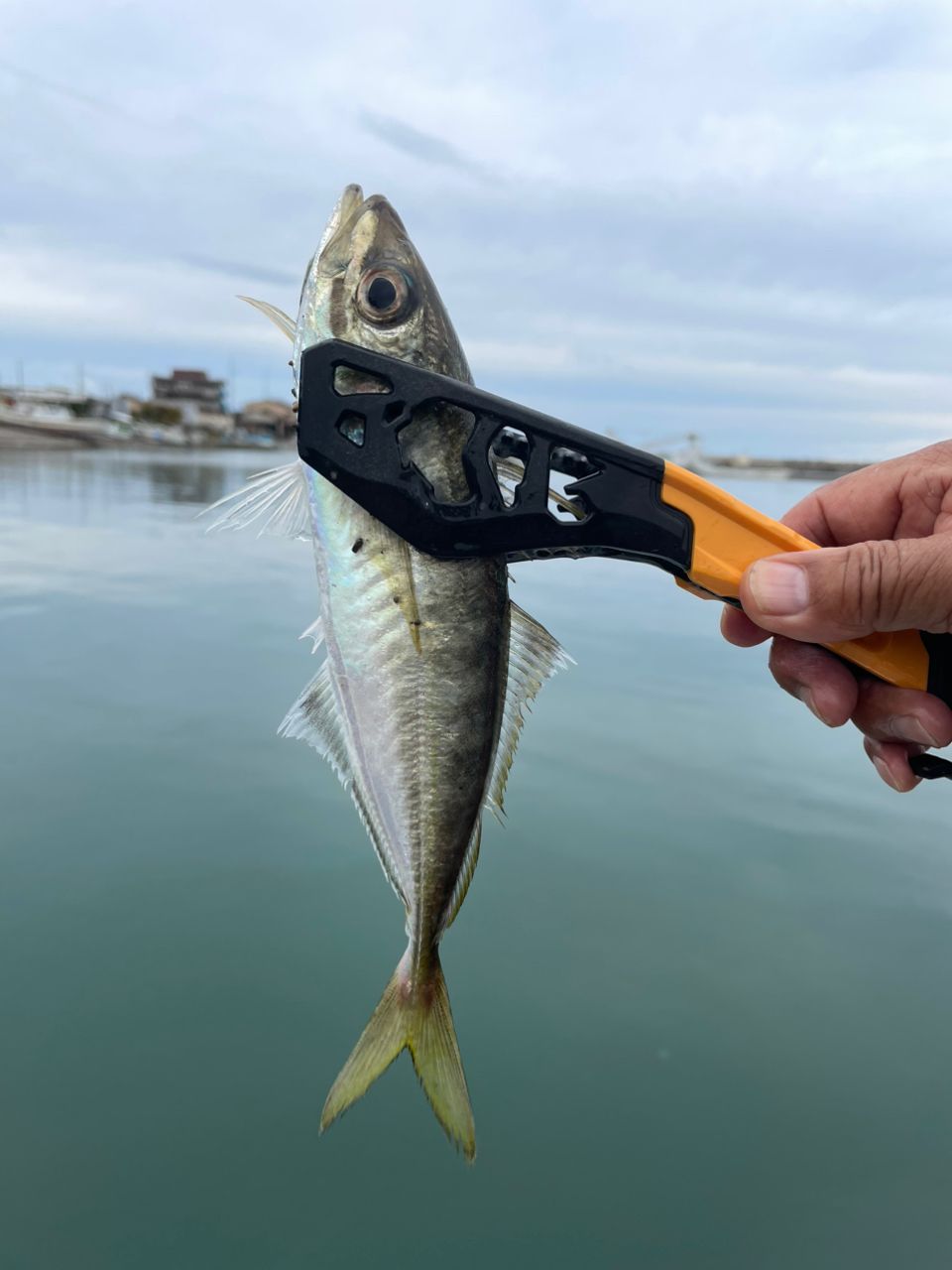 アブガルシア　ソルティステージプロトタイプ XAJS-552ULT-ST 新品 アブ ガルシア ソルティーステージ プロトタイプ アジング XAJS