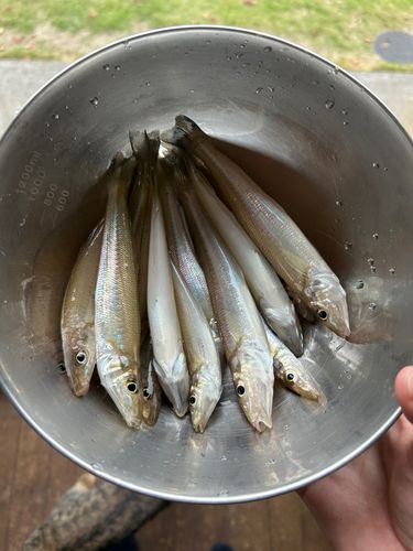 室積湾