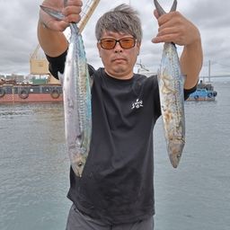 サゴシ
