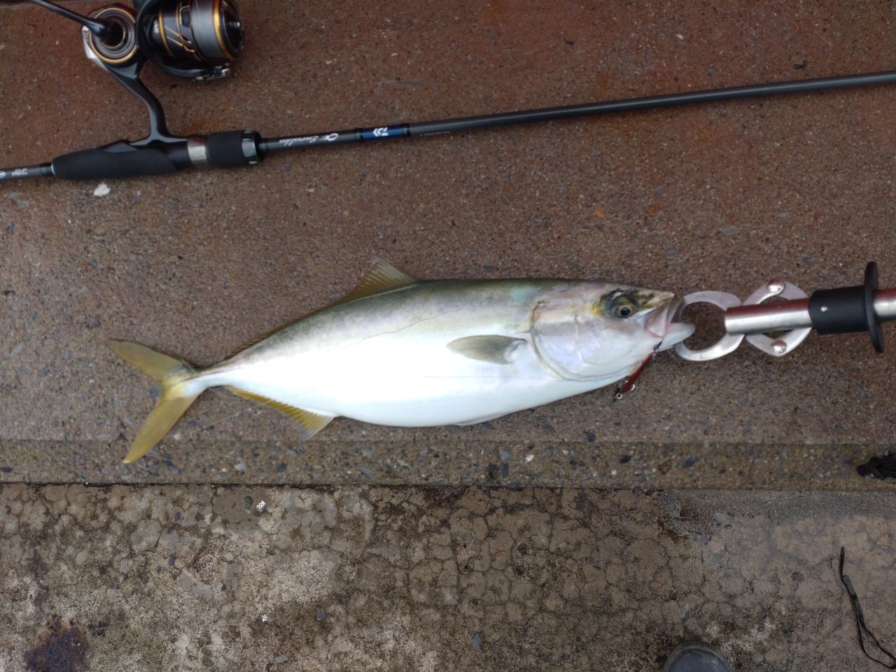 DAIWA 20エメラルダス AIR AGS 84ML-Sの最安値・インプレ・釣果