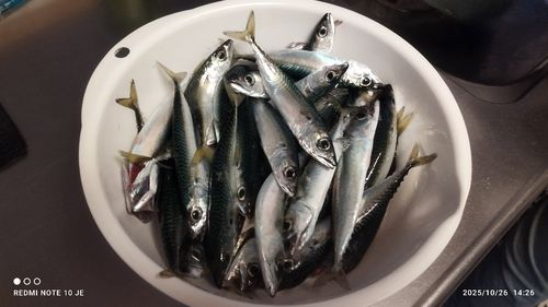 石狩湾新港