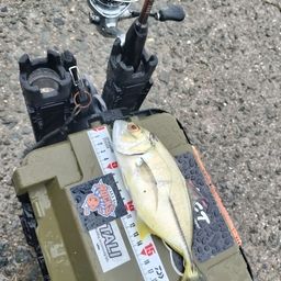 メッキ